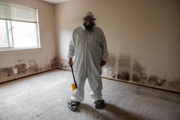 Trusted Beverly, MA Mold Remediation Experts